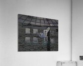 BIR 00223 Acrylic Print