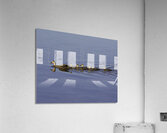 BIR 00218 Acrylic Print