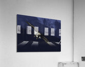 BIR 00212 Acrylic Print