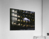 BIR 00221 Acrylic Print