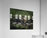 BIR 00234 Acrylic Print
