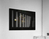 BIR 00219 Acrylic Print