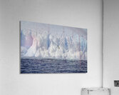 BIR 00237 Acrylic Print