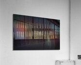 BIR 00217 Acrylic Print