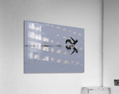 BIR 00225 Acrylic Print