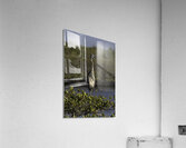 BIR 00226 Acrylic Print
