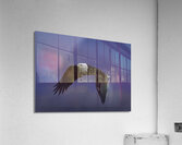 BIR 00251 Acrylic Print