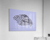 *BIR00273 Acrylic Print