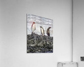 BIR 00266 Acrylic Print