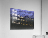 BIR 00264 Acrylic Print
