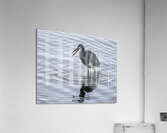 BIR 00280 Acrylic Print