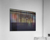 BIR 00250 Acrylic Print