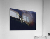 BIR 00256 Acrylic Print