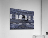 BIR 00259 Acrylic Print