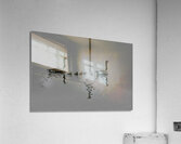 BIR 00308 Acrylic Print