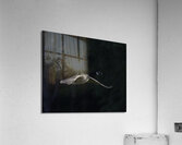 BIR 00301 Acrylic Print