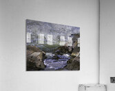 BIR 00291 Acrylic Print