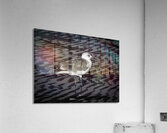 BIR 00292 Acrylic Print