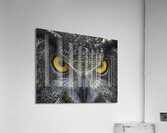 BIR 00290 Acrylic Print
