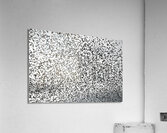 BIR 00302 Acrylic Print