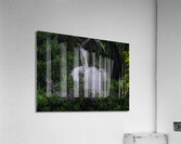 BIR 00328 Acrylic Print