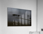 BIR 00322 Acrylic Print