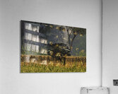 BIR 00325 Acrylic Print