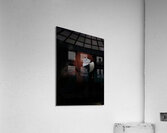 BIR 00326 Acrylic Print