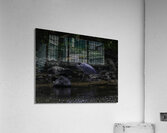 BIR 00335 Acrylic Print
