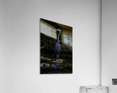 BIR 00334 Acrylic Print