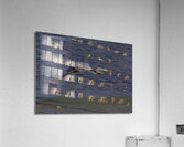 BIR 00316 Acrylic Print