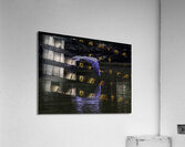 BIR 00336 Acrylic Print