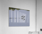 BIR 00319 Acrylic Print
