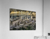CIT 00379 Acrylic Print