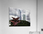 CIT 00373 Acrylic Print