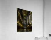 CIT 00349 Acrylic Print