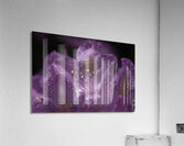 FLO 00437 Acrylic Print