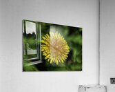 FLO 00456 Acrylic Print