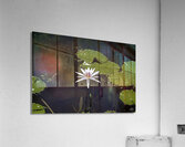 FLO 00434 Acrylic Print