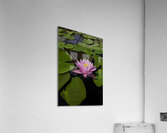 FLO 00421 Acrylic Print