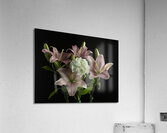 FLO 00435 Acrylic Print