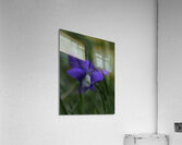 FLO 00455 Acrylic Print