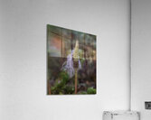 FLO 00454 Acrylic Print