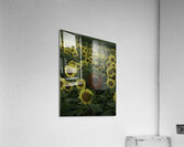 FLO 00447 Acrylic Print
