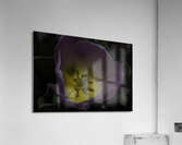 FLO 00495 Acrylic Print