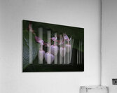 FLO 00481 Acrylic Print