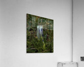 *FLO 00473 Acrylic Print