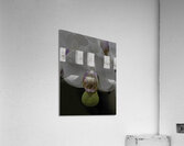 FLO 00497 Acrylic Print