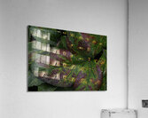 FLO 00483 Acrylic Print
