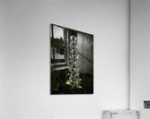 FLO 00474 Acrylic Print